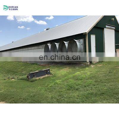 steel structure poultry farm sheds chicken house poultry farming 50x12.8m