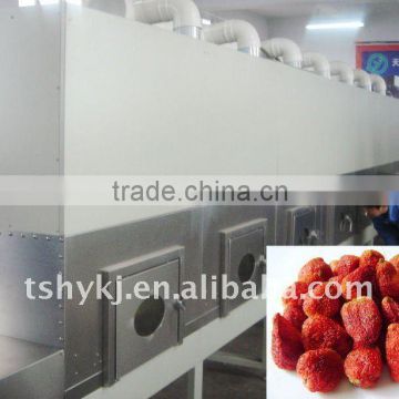 Continuous Tunnel-type Microwave Drying Machine For stevia