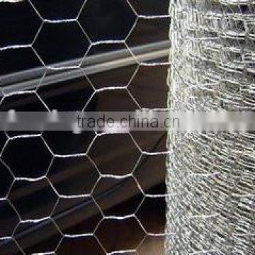 3/8" PVC Coated Anping Hexagonal Mesh with factory price