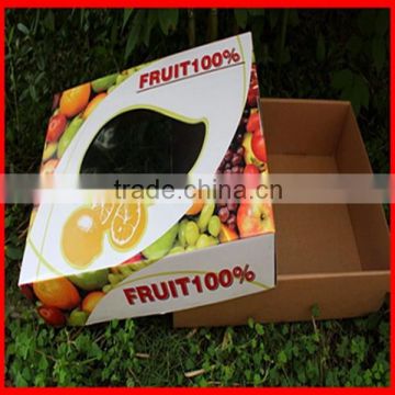 Hot Sale durable Corrugated Fresh Fruit Packaging Gift Box with Window Wholesale