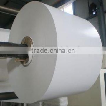 double PE coated paper in roll