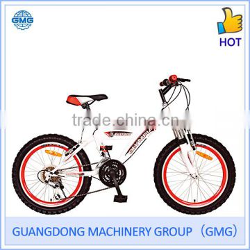 MTB Bikes Series TB20S1177(GMG)