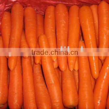 2011 fresh carrot of high quality