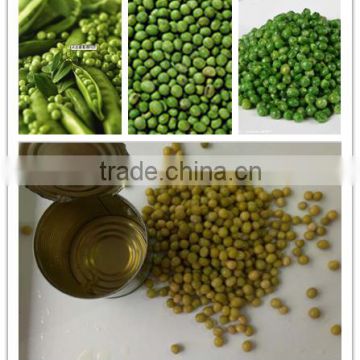 canned green peas canned vegetable