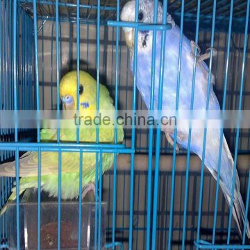 folding wire bird cages