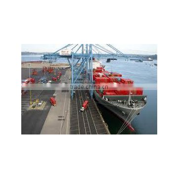 sea freight from Vietnam departure: china fast speed safty A+