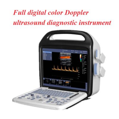 Doppler ultrasound diagnostic system