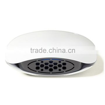 China factoy sales mini ionized air purifier for car
