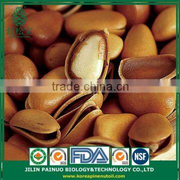 Constant Supply from China Siberian Cedar Open Pine Nuts in Shell