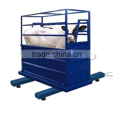 3ton / 1kg 2016 Hot Sales Zebra 12 Cattle Weighing Scale