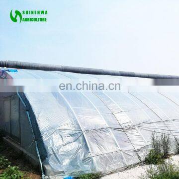 Easy Assemble Modular Retractable Sunlight Vegetable Strawberry Single Span Tunnel Greenhouse
