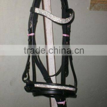 Horse Bridle