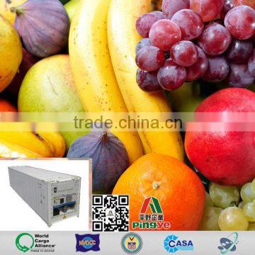 Fruit Transport import delivery from Bangkok to China reefer container