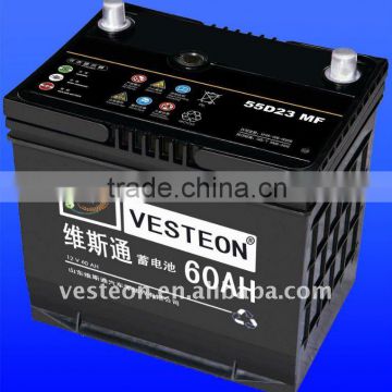 Professional Auto Battery (VDB0154)
