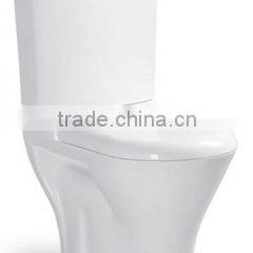 Sanitary wares bathroom design washdown Two Piece Toilet