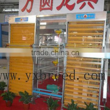 automatic egg collecting equipment in machinery