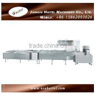 2017 Haitel HTL-1000-1 Automatic Pillow Wrapping For Chocolate