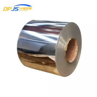Stainless Steel Coil/strips/roll Factory S30908/s32950/s32205/2205/s31803/309ssi2/2520/601 Thin Roll Chemical Equipment