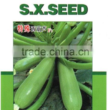 Jade 4 Prematurity high yield hybrid squash seeds