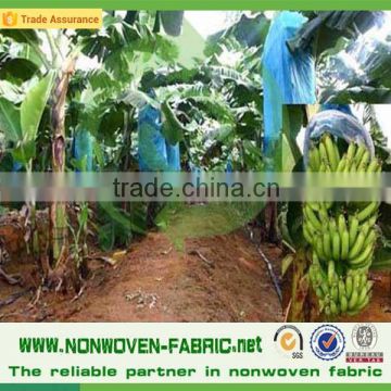 Spun bond non woven for agriculture non-woven banana bag