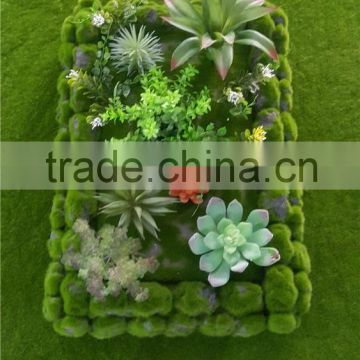 Wall decoration new products artificial moss frame fake decoration frame with competitive price