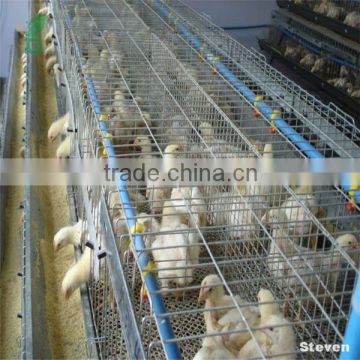 chicken brooder wire mesh coop /chicken layer battery farm