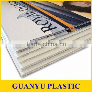 PP Hollow Sheet,PP Corflute Sheets,PP Hollow Board