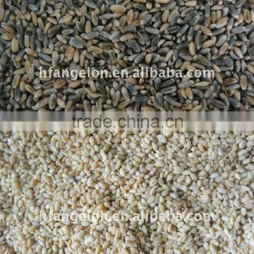 Buckwheat/Wheat color sorter machine