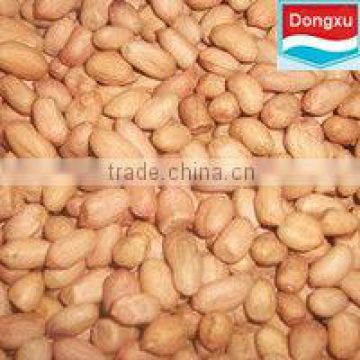 good quality peanut kernels 35/40 40/50 50/60 60/70