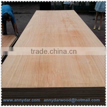 eucalyptus plywood MLH core plywood plywood