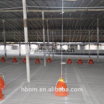 supply high qulity plastic net flooring for chicken farming