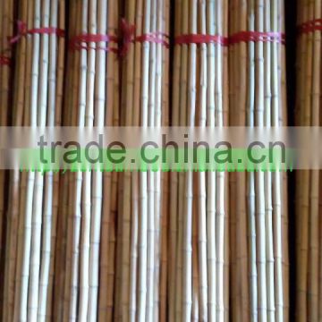 ZENT-151 natural bamboo stakes bamboo cane