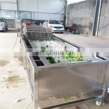 Commercial CE approved Fruit vegetable washing machine / industrial vegetable fruit washing machine / fruit vegetable washer