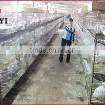 Cheap Welded Matal Large Rabbit Cage For Sale