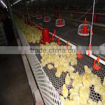 broiler poultry farm equipment