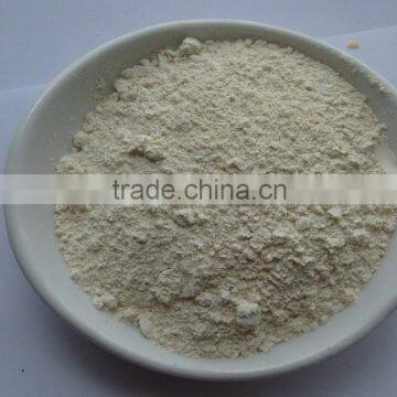 White color dried horseradish root powder