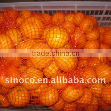 Supply Nanfeng Mandarine/ Baby Mandarine