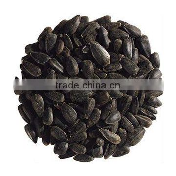 black cumin seed in bulk