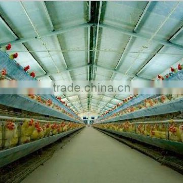 poultry farm for layers