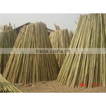 Fencing Raw Bamboo Cane Poles
