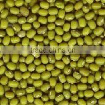 Mung bean