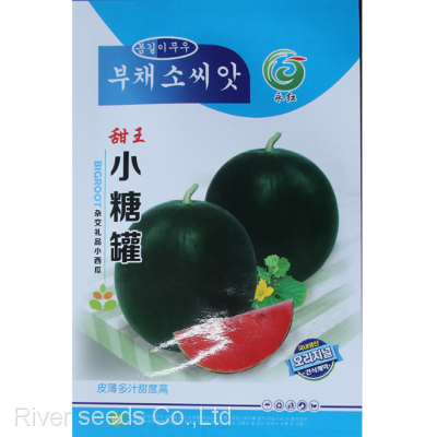 50pcs f1 hybrid high sweet densuke black watermelon seeds for planting