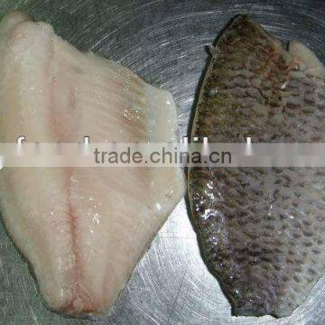 FROZEN TILAPIA FILLET SKIN ON FOR SALE