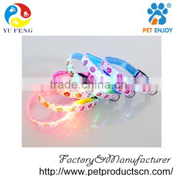LED Dog Collar - USB Rechargeable - Multiple Sizes & Colors - Improve Dog Visibility and Safety - Charges Via USB