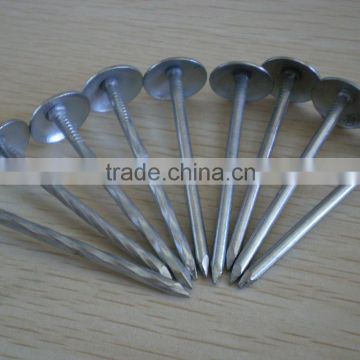 steel nail common iron nails and galvanized nail