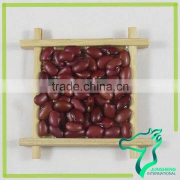 Types Of Shan Xi Origin Dry Small Red Kidney Beans