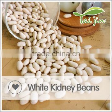 China Origin White Beans On Sale