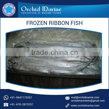 Preservative and Chemicals Free Juicy Frozen Ribbon Fish at Bulk Price