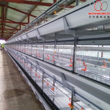 Malawi Poultry Farming H Type Automatic Broiler Chicken Cage & Broiler Cage with Automatic Feeding Machine