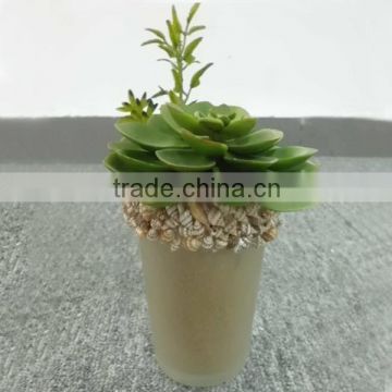 nearly natural looking perennial succulent plants natural plants